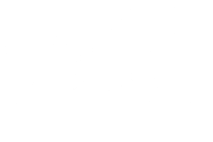 light logo